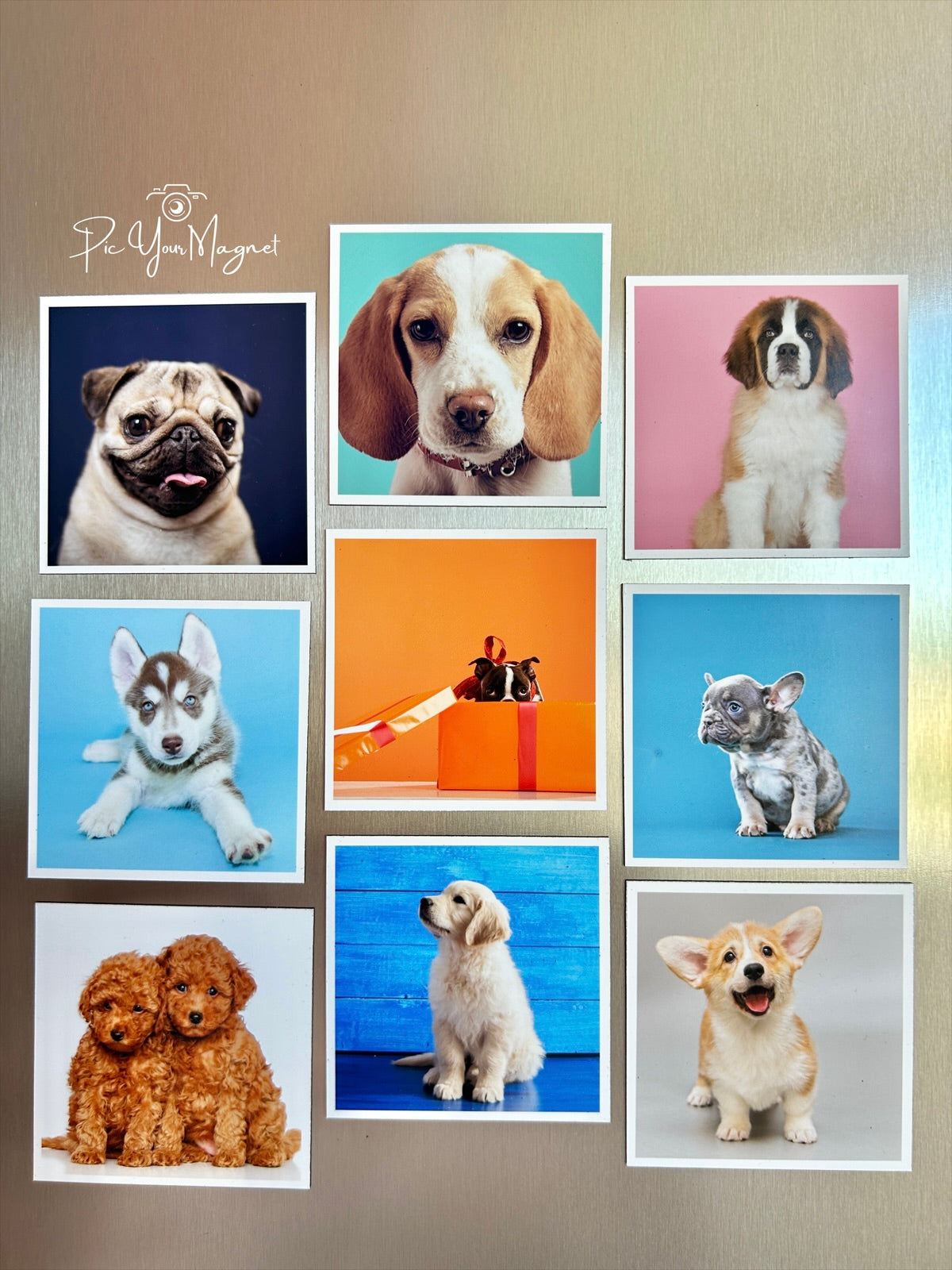 Flexible photo magnets